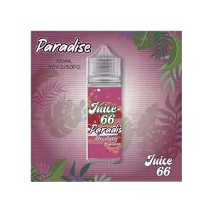 juice 66 paradise lime berry 4 jpg